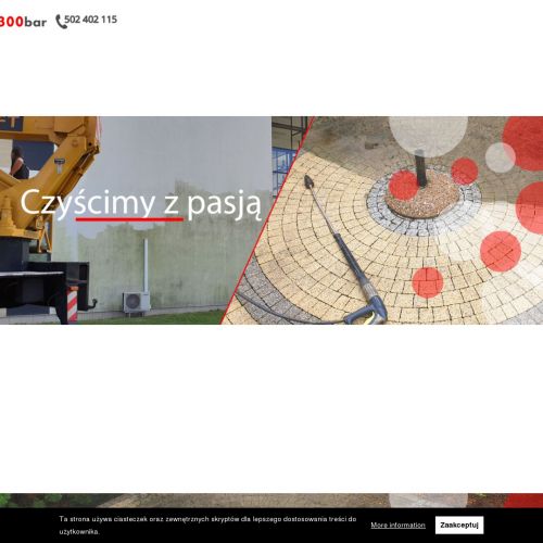 Mycie elewacji budynków wielkopolska