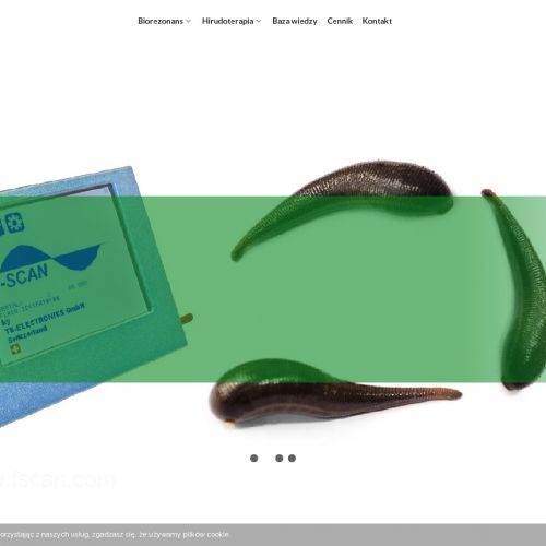 Hirudoterapia w Józefowie