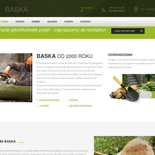 Wycinka drzew Sosnowiec