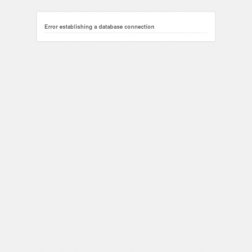 Sesja wizerunkowa w plenerze